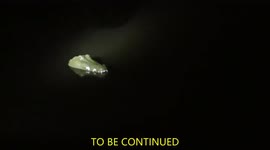 Crocodile/Alligator spotted in Berkshire pond United Kingdom