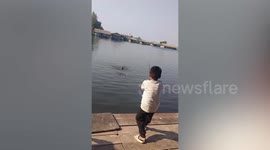 Delighted boy drags 40kg monster catfish from river