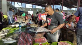 Cutting Tuna in Almahirah Market