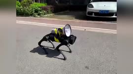 Robot dog carrying loudspeaker barks pandemic safety instructions to Chinese community