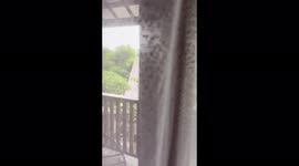 The girl found unexpected guests in the morning on the balcony in the hotel