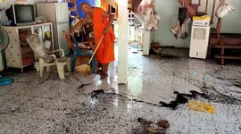 Thousands of flying bugs invade Buddhist temple in Thailand