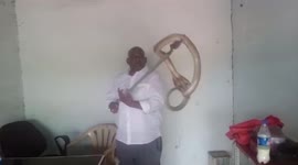 Venomous cobra rescued from office in southern India