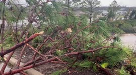 Tornado leaves trail of damage in Springdale, Arkansas; several injured
