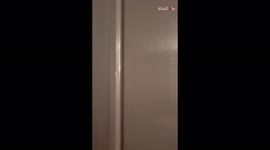 'Easily-frightened man keeps swearing after wife pulls a jumpscare on him '