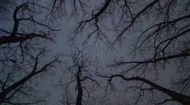 Stunning Time-lapse Footage Of Milky Way In Shuangyashan, China