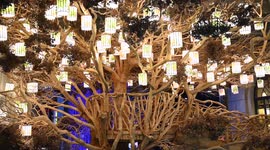 Paper Lanterns In Chongqing, China