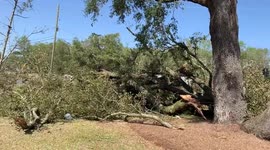 Florida panhandle rocked by heavy winds amid tornado warning
