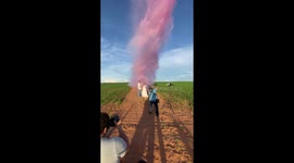 Brazilian photographer uses plane to drop coloured powder onto couple in sensational gender reveal