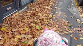 Boy playing with autumn leaves
