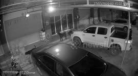 Cheeky stray dog steals man's shoe left outside his home in Thailand