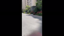 A robot dog patrols the empty streets of Shanghai with a loudspeaker to remind people of health measures.
