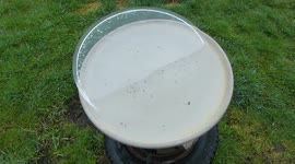 Smashing a sheet of ice on the ground from the bird bath this morning.