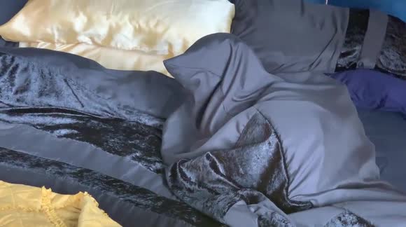 Funny moment sausage dog gets stuck under duvet in UK home