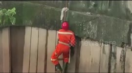 Indonesian rescuers haul cat from sewer in dramatic rescue