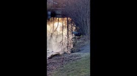 Great blue heron stands in a pond before taking off flying over the pond during sunset