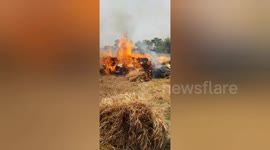 A peddy field has fired in Northern India