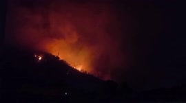 Venezuela: Fire Erupts In Avila National Park Near Caracas