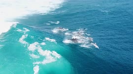 Unique Drone Footage of a Huge Pod of Dolphins Surfing a Wave Together