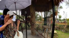 Walk around this new mini zoo that opened in Thailand