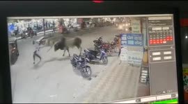 Security camera captures moment bull casually tosses police officer into air