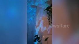 Thrifty mum transforms bathroom into tranquil spa for just £200