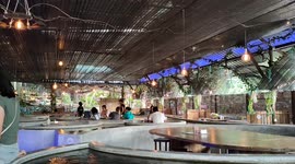 Diners surrounded by Koi carp at unique cafe in Malaysia's Hulu Langat