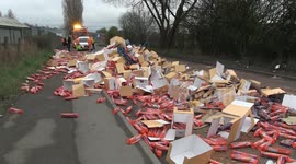 Dunk driving! Biscuits strewn across UK road after truck loses its load