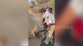 Kind cop feeds water to thirsty monkey in western India