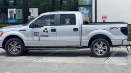 Pet-Mobile-Service in Florida, has gone to the dogs!! Who's running the show!!!