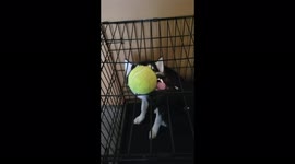 Mommy put me in timeout, with my sister so she can clean again but after she was done this happened.