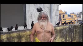 Meet Arun Kumar People called him crow lover