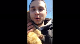 Ukrainian man gives food and water to cat after untangling feline from wires