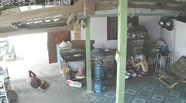 Kitchen cabinet falls over and crushes pensioner underneath
