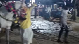 Dancing horses became the spotlight of the festival in South India