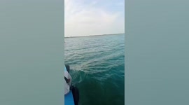 Family stuck on sinking boat rescued in Indonesia