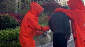 Firefighters attempt to remove swarms of bees gathering on man's back