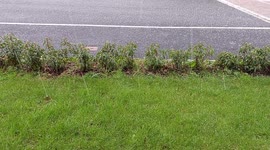 Hail stones dropping in the UK 8 April 2022