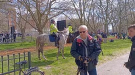 Extinction Rebellion gather to protest at Hyde Park