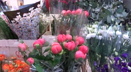 Gorgeous spring flowers on sale outside St Mary Abbots church in Kensington - London