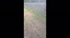 Man rescued screaming hare stuck in fence