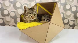 YouTuber shows how to make cool geometric bed for pets