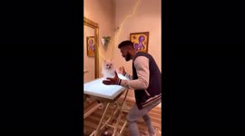 Creative dog groomer transforms Pomeranian pooch into PIKACHU – and TikTok users love it