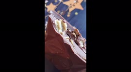 Woman goes viral creating chocolate bar stuffed with CHEESE, PRAWN and BACON CRISPS – dividing TikTok users Part Three
