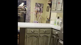 'Woman gets emotional on seeing pet cockatoo after surgery '