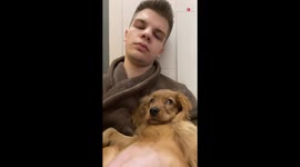 'Loving dog gives her owner 'the look' while he's taking a nap'