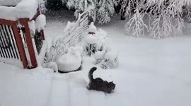 US: Rare April Snow Blankets Parts Of Oregon 2