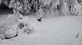 Rare April snow blankets parts of Oregon, Washington