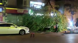 Strong wind cause huge tree fall down on pedestrian as storm hit Chinese southern city