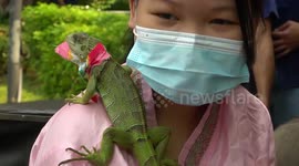 Thai dancers and zoo animals mark country's Songkran new year festival